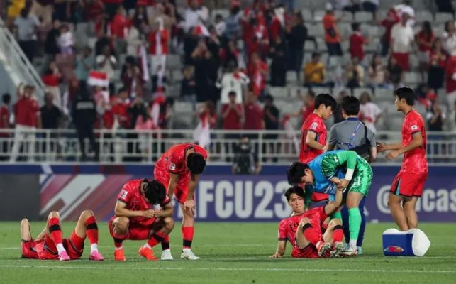 亚洲杯韩国伤亡：为高风险运动事件敲响警钟